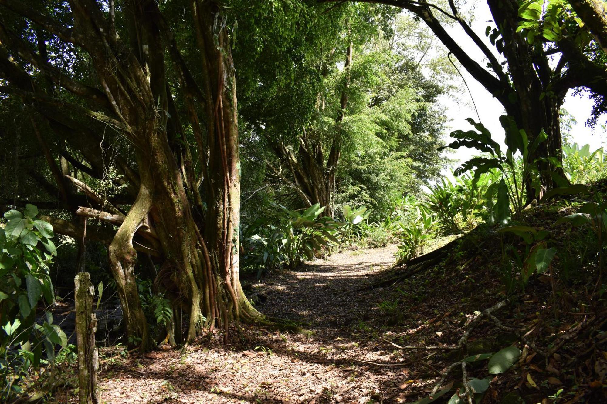 Hotel Arenal Country Inn La Fortuna Eksteriør billede