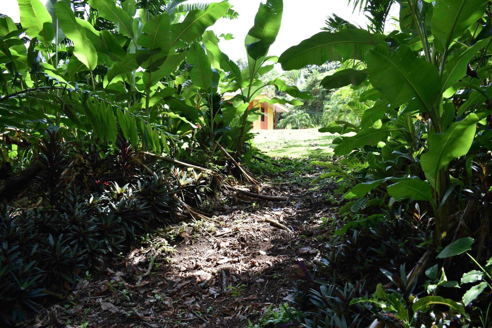 Hotel Arenal Country Inn La Fortuna Eksteriør billede