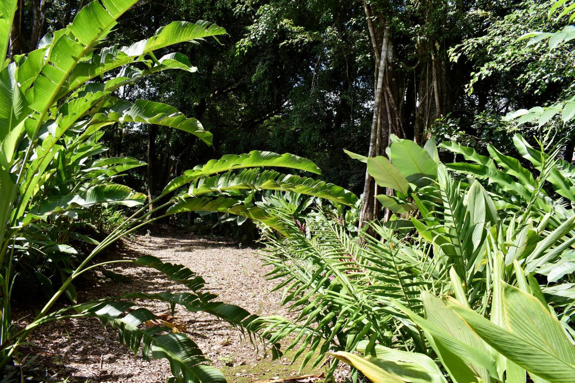 Hotel Arenal Country Inn La Fortuna Eksteriør billede