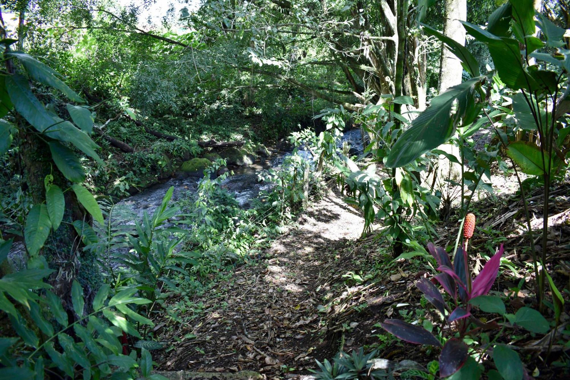 Hotel Arenal Country Inn La Fortuna Eksteriør billede