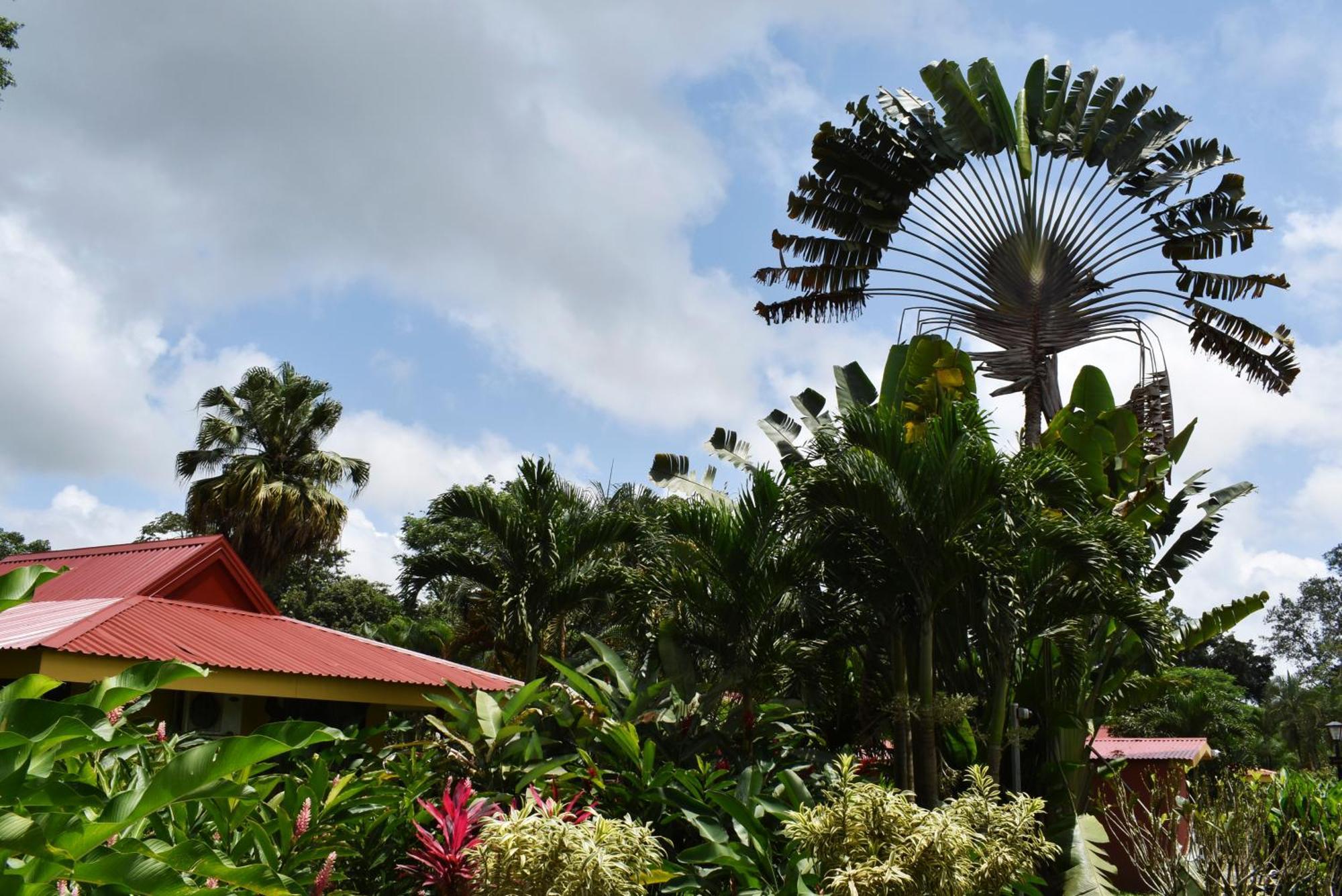 Hotel Arenal Country Inn La Fortuna Eksteriør billede