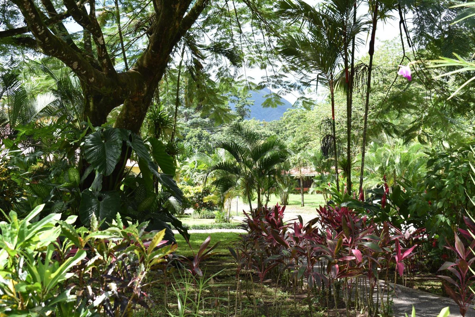 Hotel Arenal Country Inn La Fortuna Eksteriør billede